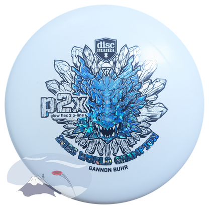 Gannon Buhr Huk Lab P2X