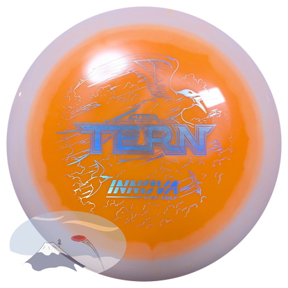 Tern